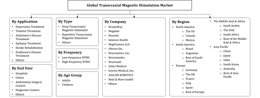 Transcranial Magnetic Stimulation Market Segmentation