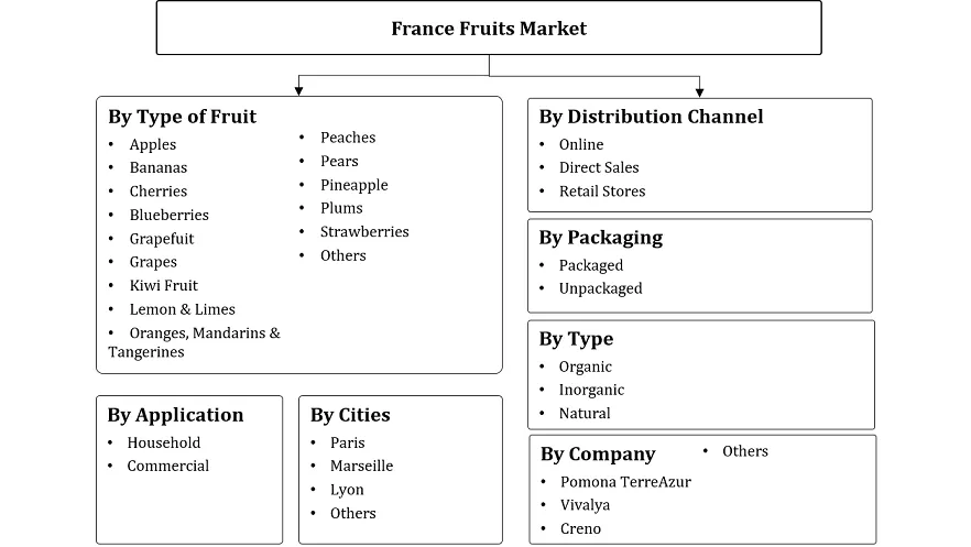 France Fresh Fruits Market Segmentation