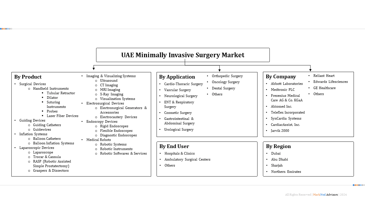 UAE Minimally Invasive Surgery Market Segmentation