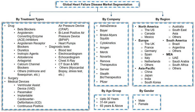 Global Heart Failure Disease Market Segmentation