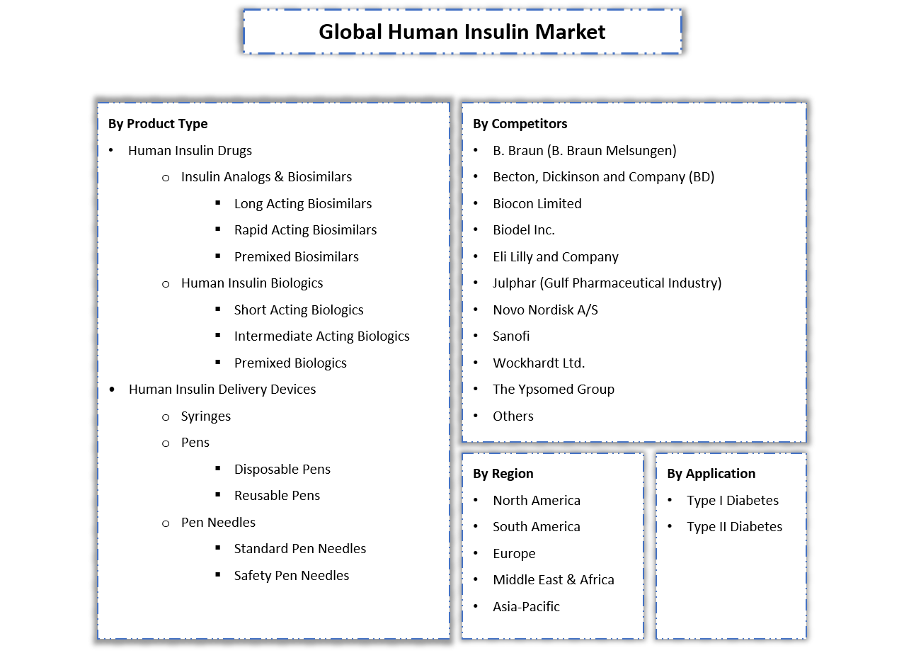 Human Insulin Market - Segmentation Slide