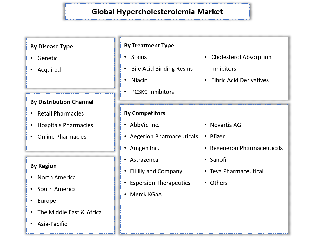 Hypercholesterolemia Market Segmentation Slide