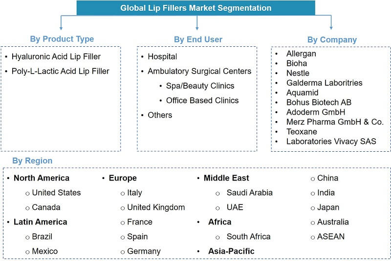 Global Lip Filler Market Segmentation