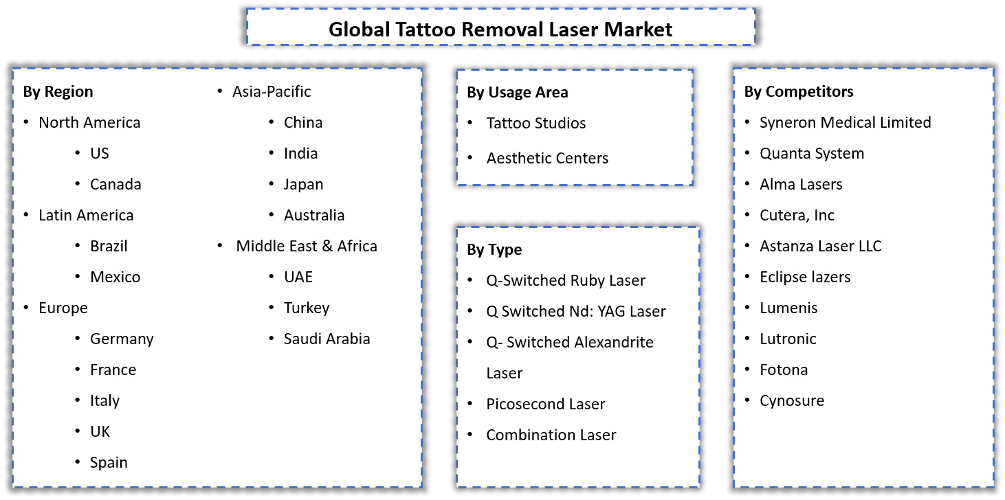Tattoo Removal Laser Market Segmentation
