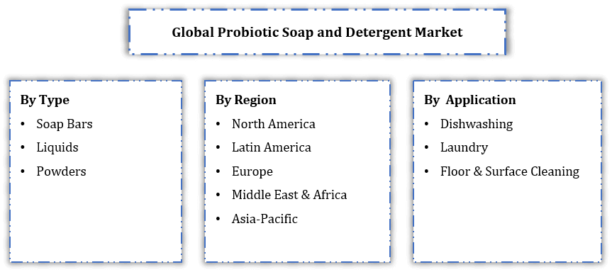 Probiotic Soap and Detergent Market Segmentation Slide
