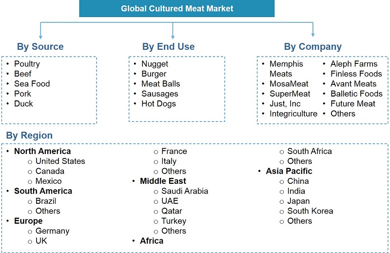 Global Cultured Meat Market Segmentation